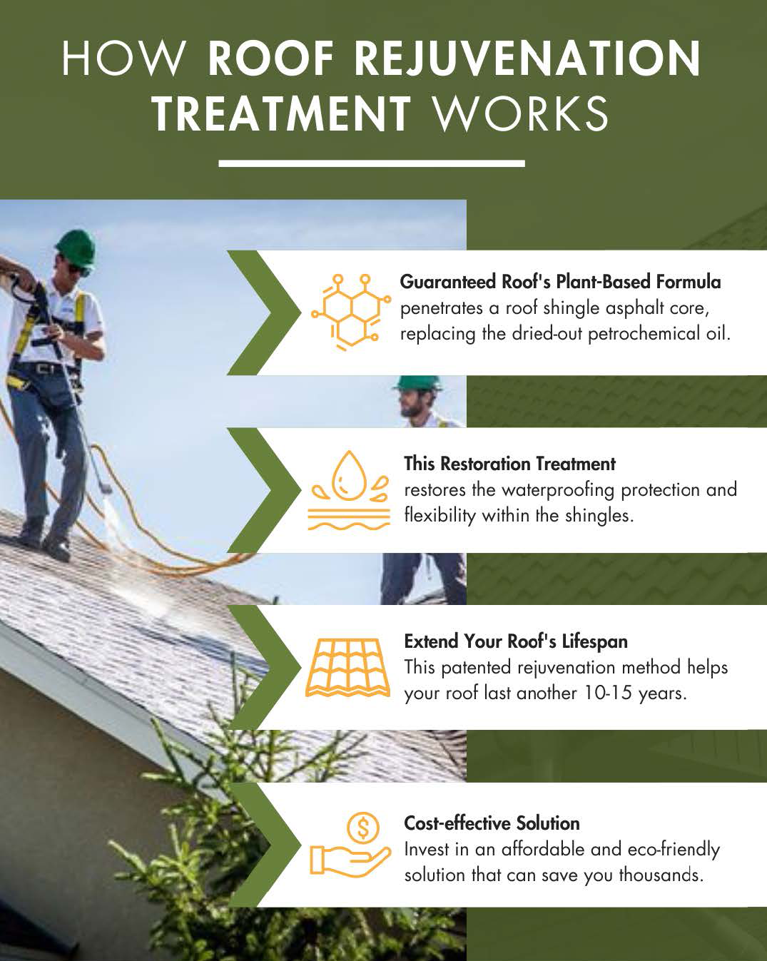 Services - Roof Rejuvenation pdf